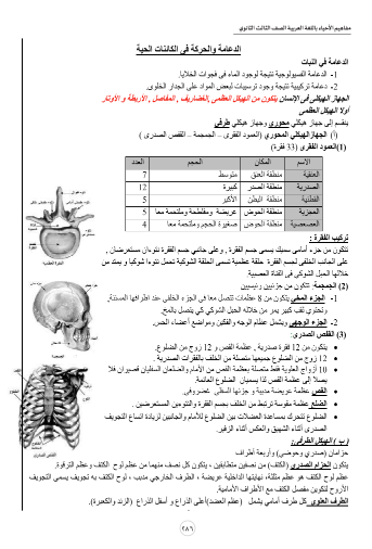 مفاهيم الاحياء مفاهيم الاحياء